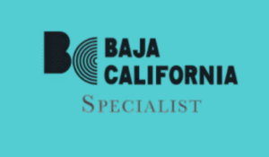 Untitled design (66)