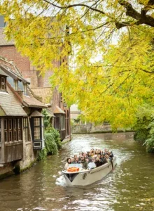 pexels-arcanjosaddi-14361866