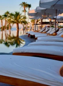 pexels-gapeppy1-2373201+(1)