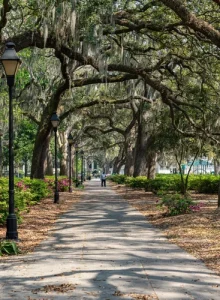 pexels-gryziu-31546896