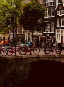 pexels-jack-winbow-460463-1187911