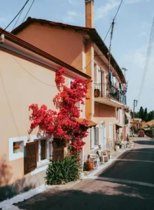 pexels-kokorevas-15566159