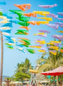 pexels-vladimir-miranda-238542436-12241022