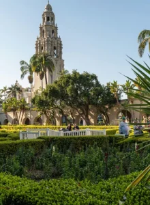 pexels-zachary-sawchuk-1278562-2440337+(1)