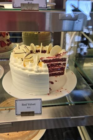 sunshine escapes (10)