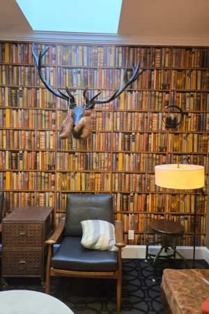 sunshine escapes (7)